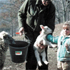 thfarm1.gif (10279 bytes)