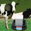 thfarm2.gif (8995 bytes)