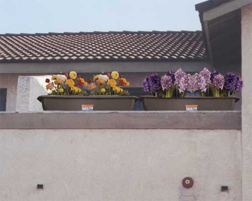 bucket display.jpg (46179 bytes)