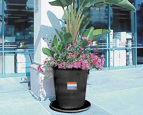 bucket display.jpg (46179 bytes)