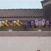 thimix4.gif (6989 bytes)