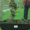 thimix5.gif (9549 bytes)